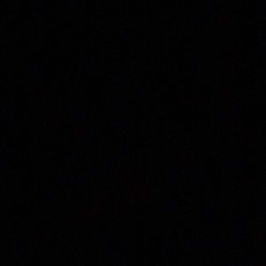 Meet your Posher, Tika